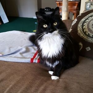 Meet your Posher, Marci